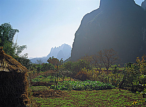 soi cầu 366