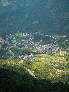 du doan bach thu