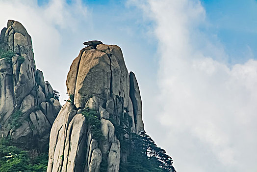 soi cau 888 me