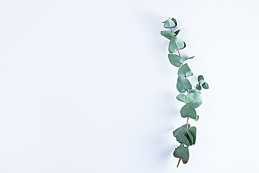 nhà cái số đề