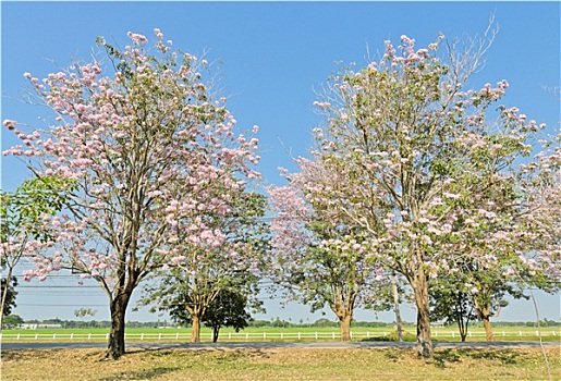 xsmn thu 4 hang tuan minh ngoc