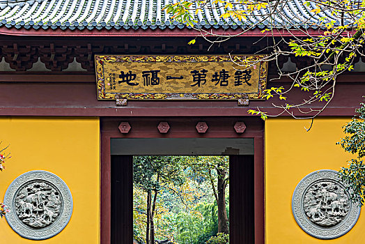 soi cau bach thu khung 5 ngay