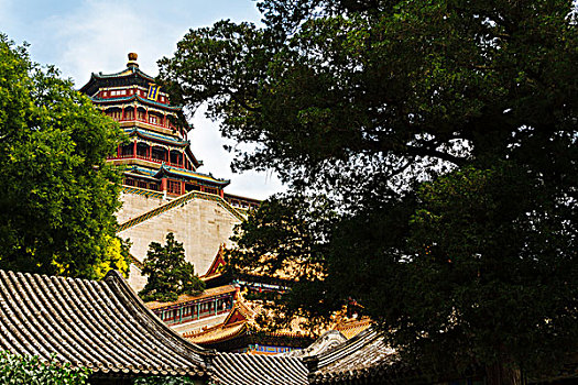 soi cầu rong bạch kim