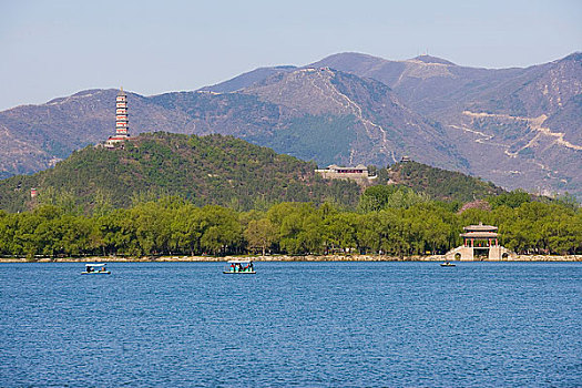 rong bach kim mien bac