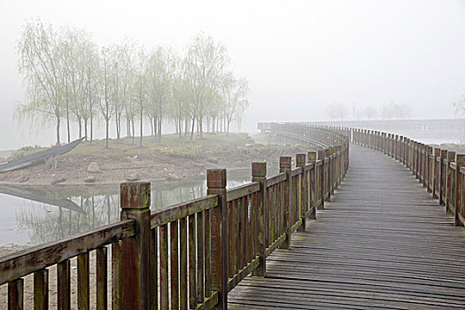 bạch thủ bình định