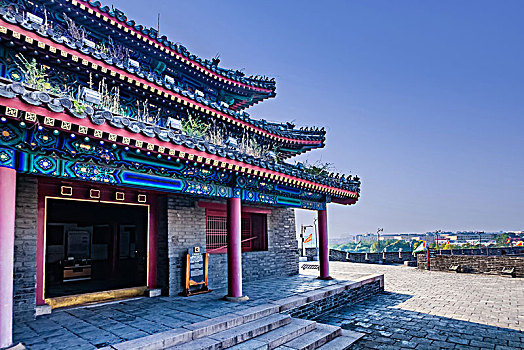 soi lo bach thu