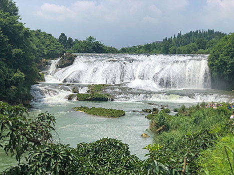 phân tích lô bạch thủ