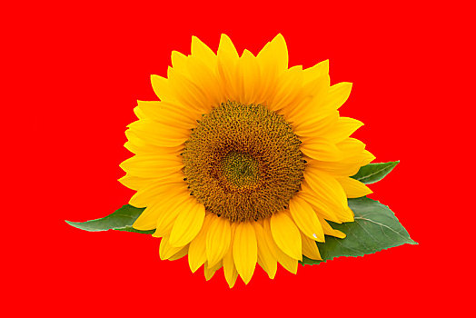 xổ thử miền nam