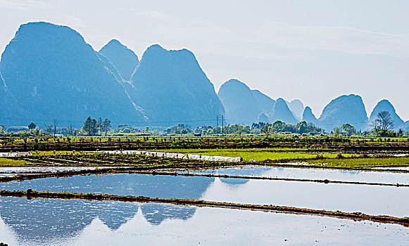 đánh đề online