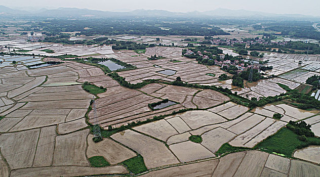 soi cầu du đoán xs gia lai