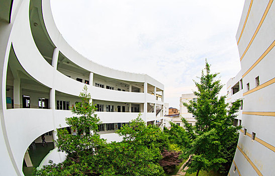 soi cau kep ngon
