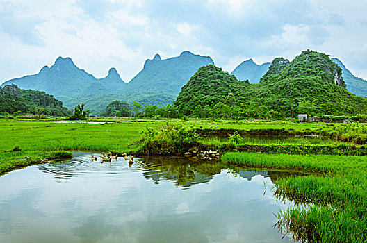 betwin2888 soi cau