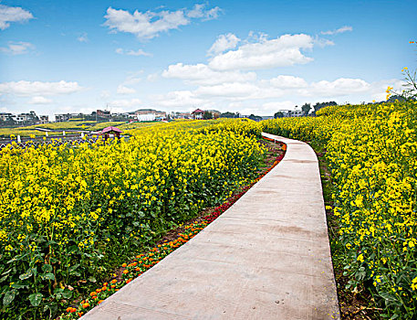 xổ số phương trang