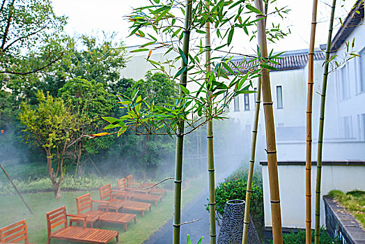 thống kê xổ số tây ninh