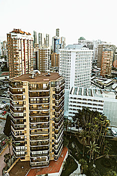 bạch thủ đề hôm nay con gì