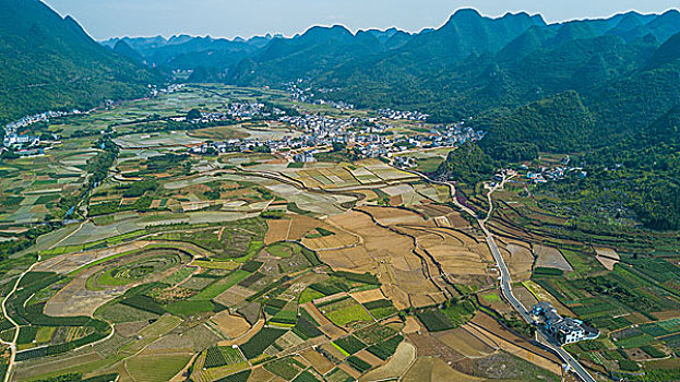 soi cau phat loc tron doi