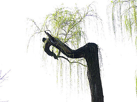 xổ số miền bắc hàng tuần