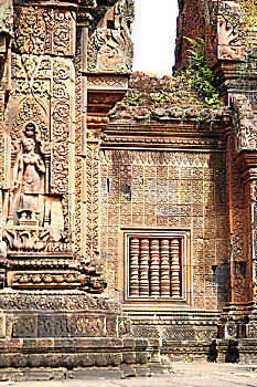 568 soi cầu