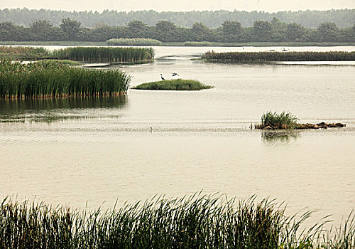 kqxs binh duong