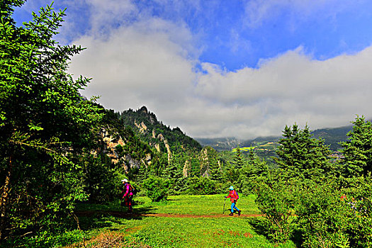soi cau du doan